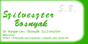 szilveszter bosnyak business card
