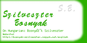 szilveszter bosnyak business card